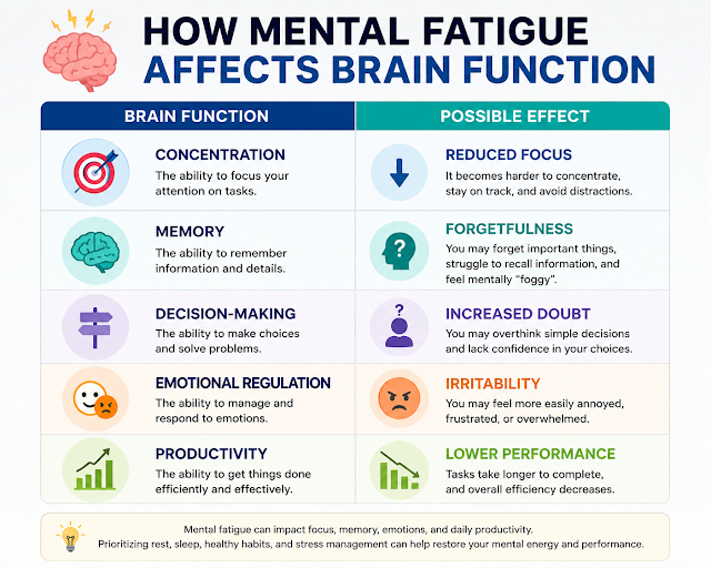 Mental Fatigue and Brain Function: How Mental Exhaustion Affects Cognitive Performance Infographic showing the effects of mental fatigue on brain function, including reduced concentration, forgetfulness, increased doubt in decision-making, irritability, and lower productivity.