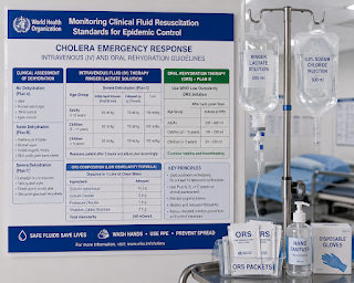 Monitoring Clinical Fluid Resuscitation Standards for Epidemic Control A clean medical setting displaying a specialized WHO chart outlining precise intravenous rehydration and oral rehydration salt ratios for cholera emergency response.