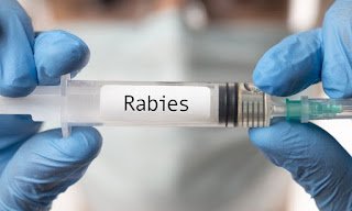 Administering Rabies Prophylaxis and Emergency Vaccines Healthcare professional preparing a vaccine vial in a clinical environment.